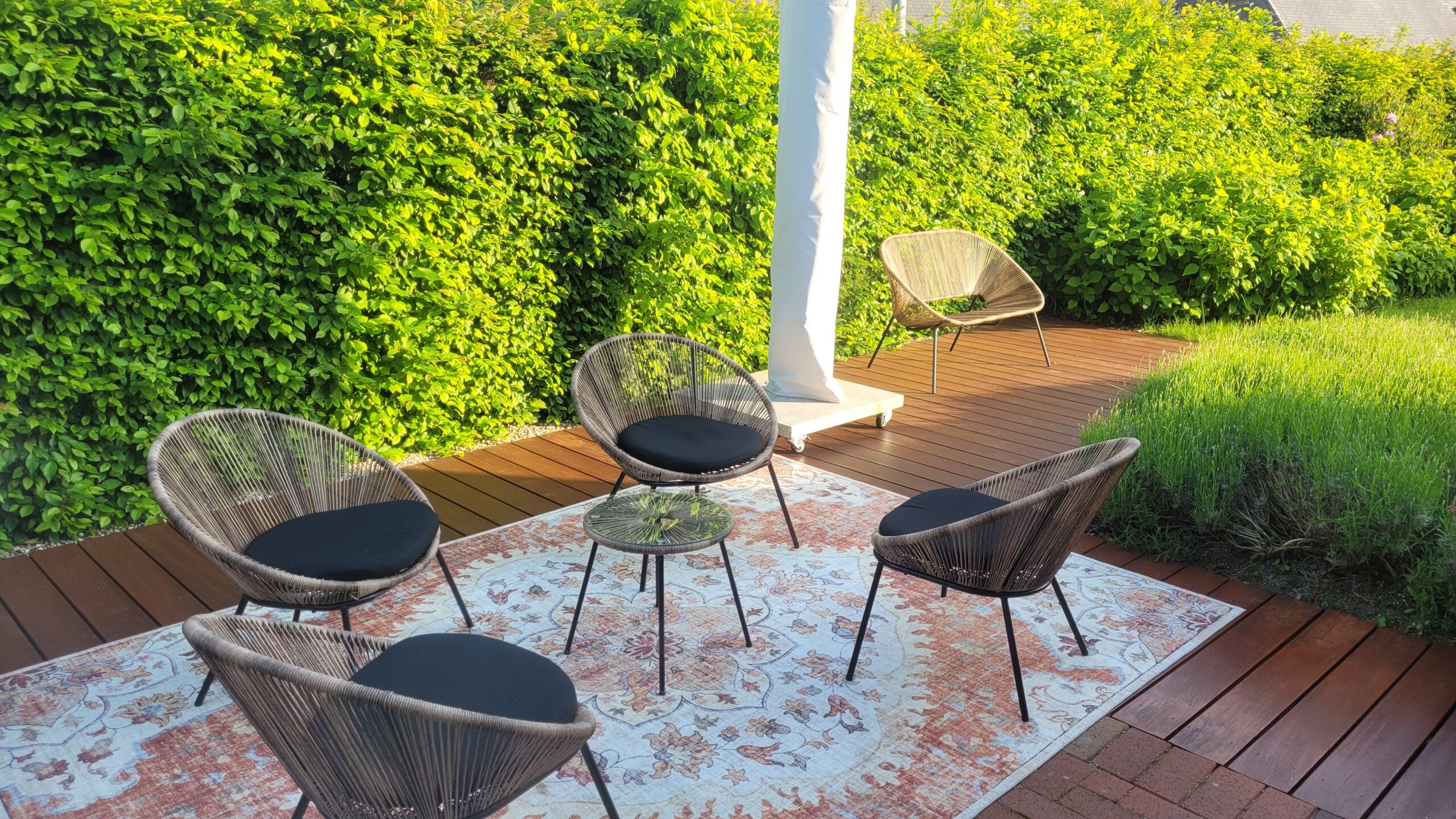 terras zulte 12