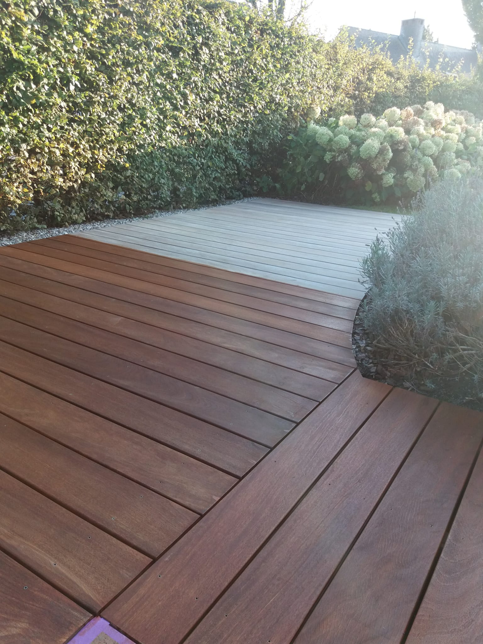 terras zulte 2