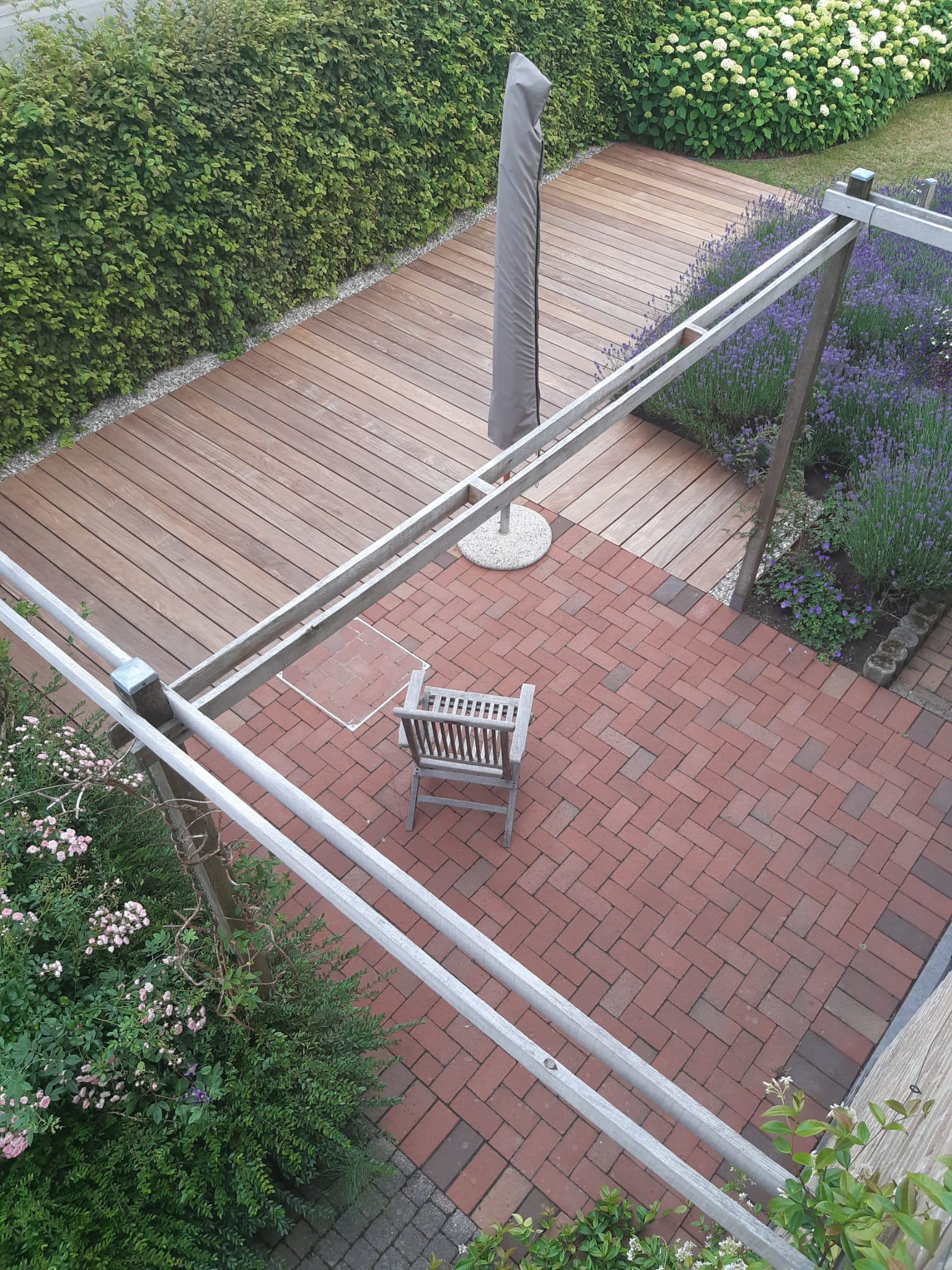 terras zulte 3