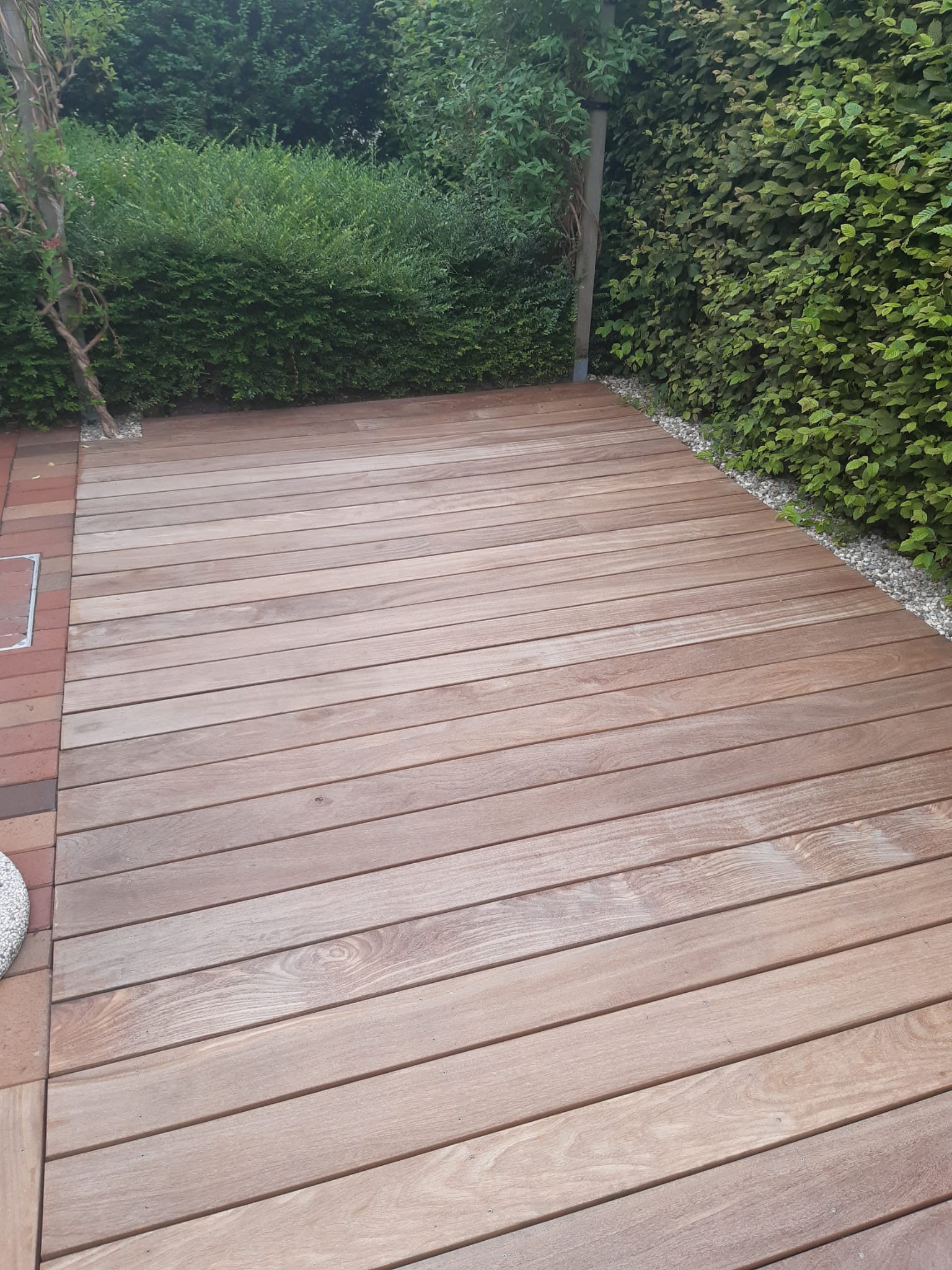 terras zulte 5